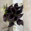 Clean, Elegant eggplant color calla lily&#039;s  that are the Ultimate in