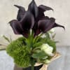 Clean, Elegant eggplant color calla lily&#039;s  that are the Ultimate in