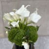 Clean, Elegant White Blooms that are the Ultimate in Pure Modern Sophistication

