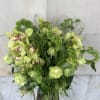 TALL LUSH ARRANGMENT CYMBIDIUM ORCHID, MINI GREEN HYDRANGEAS, BELLS OF IRELAND, ASCLEPIA