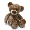 Select this adorable and huggable bear plush for playtime, anytime!