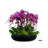 A high quality fifteen purple orchids arrangement with a vase 20&quot; D