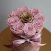 Soft preserved pink roses surround a single radiant gold rose at the