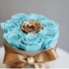 Vivid aqua preserved roses designed to last 3 or more years form