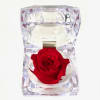 A single preserved red rose encased in a jewel-like acrylic case. Perfectly