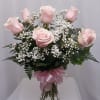 6 beautiful pink roses arranged in a vase with baby&#039;s breath and