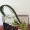 Nice moder succulent and orchid arrangement sumarge in water giving this arrangement