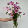 Cosmo bunches are growers&#039; bunches (volume-based) &amp; will contain roughly 10-12 stems
