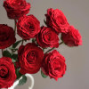 Indulge in the elegance of a dozen (or more) premium roses (50cm