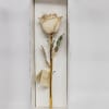 A real rose preserved to last and then trimmed with real 24kt