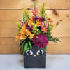 Cast a charming spell this Halloween with Whiskers &amp; Witchcraft, a playful