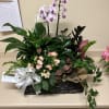 a mixture of green and blooming plants