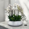 A high quality sixteen white orchids arrangement with a vase 20&quot; D