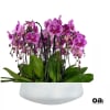 A high quality sixteen purple orchids arrangement with a vase 20&quot; D