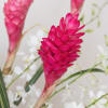 Trendy and Fun, this arrangement features exotic tropical flowers that exude elegance