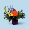 Just as it is named, this arrangement is sure to give anybody