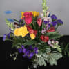 This is Paw-sitivley the cutest Line of Pet friendly floral arrangements out