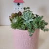 A pretty daisy embossed ceramic container planted with hardy easy to care