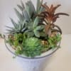 A striking botanical embossed ceramic container planted with hardy succulents. Simply perfect