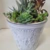 A striking botanical embossed ceramic container planted with hardy succulents. Simply perfect
