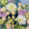 Color Palette: Mixed
Let our designers choose the freshest and most beautiful flowers