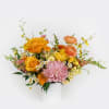 Our Petite Seasonal Arrangement features pretty vibrant seasonal blooms, making it the