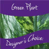 $39.95 designers choice green plant