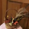 One of a kind creation of a pheasant hiding his head in