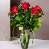 Sharp, sultry and sensational - roses that smolder with razzle dazzle and