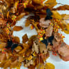Beautifully preserved, golden beech leaves, adorned with bittersweet vine and small butterflies.