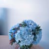 Beautiful 8 in bowl of fresh blue hydrangea , touches of blue