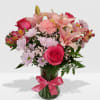 Pink mix