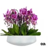 A high quality seventeen purple orchids arrangement with a vase 20&quot; D