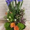  irises ,tulips  and green dianthus , spring ,sure to bring