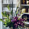 Orchid Serenity

Elevate any space with the tranquil elegance of Orchid Serenity. This
