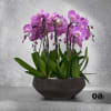 A high quality ten pink orchids arrangement with a vase 14&quot; D
