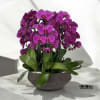 A high quality six purple orchids arrangement with a vase 14&quot; D