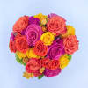 A vibrant display of Yellow, Hot Pink and Orange Roses and Spray