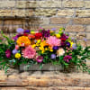 Long and low, in a wood or ceramic rectangular container, these range