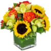 Sunny Day Cube &ndash; Brighten Any Day with San Diego Flower Delivery

Bring