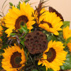 all sunflowers in a black watering pitcher