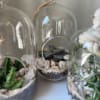 3 different sized hanging glass terrariums with succulents in them! This glass
