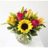 Pink roses, vibrant orange lilies and sunflowers delivered in a lush cube