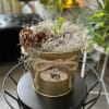 Watch it grow and bloom!

Amaryllis are rewarding, easy-care houseplants that brighten up