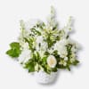 White Roses, White Stock, White Cushion Pompon or Daisies, White Alstroemias, Lemon
