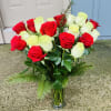 Two Dozen of Green &amp; Red Roses 
