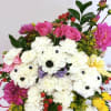 This adorable puppy arrangement will fit many different occasions to make your
