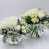 Bianco is an all white and green beauty that features a White