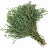 Always aromatic and often used to clear the sinuses, this large bunch