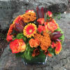 Bold and beautiful, welcome fall with this lovely arrangement 